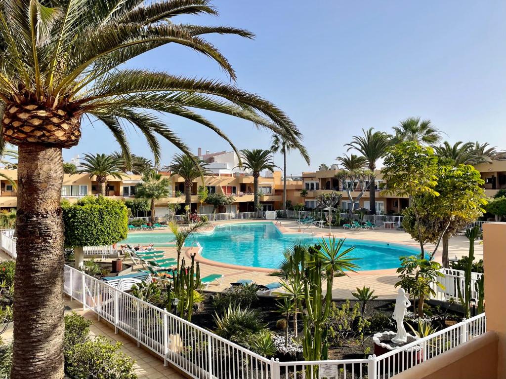 Piscina con palmeras